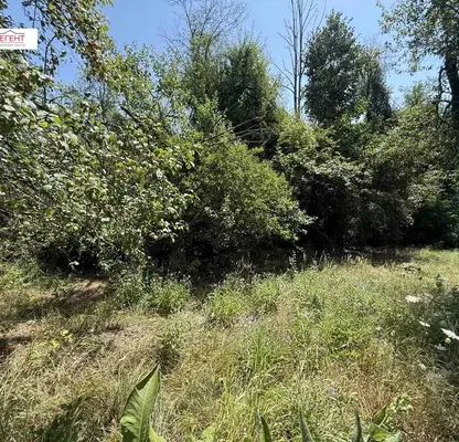 Снимка 4 — Парцел в Габрово, с. Пецовци