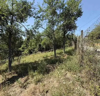 Снимка 3 — Парцел в Габрово, с. Пецовци