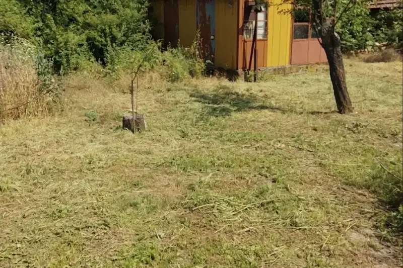 Plot in Pleven, Pelishat