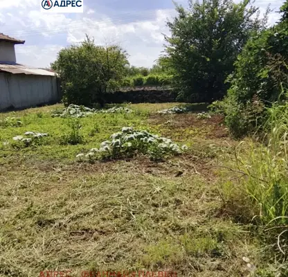 Photo 2 — Plot in Pleven, Pelishat