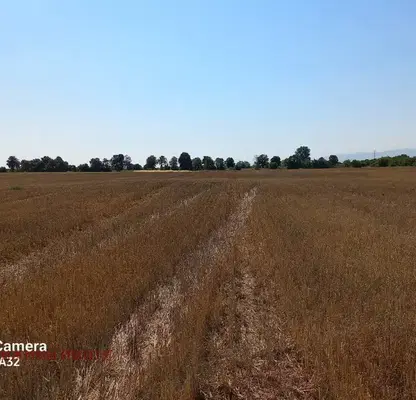 Снимка 3 — Парцел в с. Подгумер