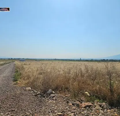 Photo 2 — Plot in област София, Prolesha