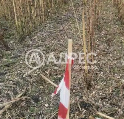 Photo 2 — Plot in област София, Prolesha