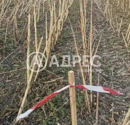 Photo 3 — Plot in област София, Prolesha