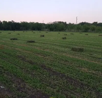 Photo 3 — Plot in Oblast Dobrich, Rakovski
