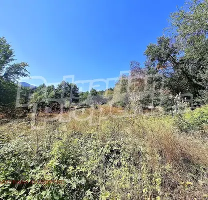 Photo 2 — Plot in Veliko Tyrnovo, s. Rayuvtsi