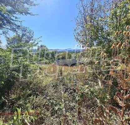 Photo 3 — Plot in Veliko Tyrnovo, s. Rayuvtsi