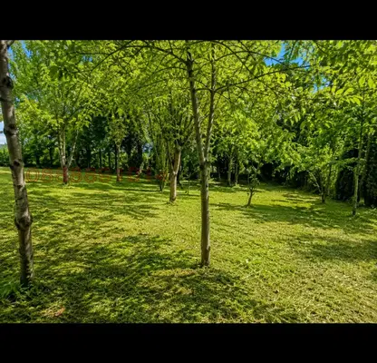 Photo 2 — Plot in Oblast Lovech, Ribarica