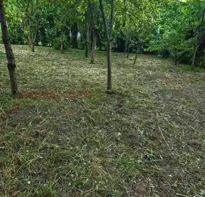 Photo 5 — Plot in Oblast Lovech, Ribarica