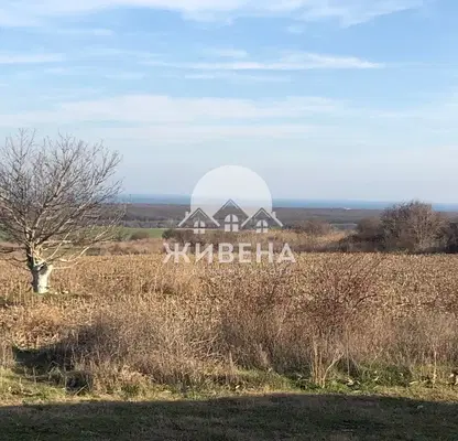 Снимка 3 — Парцел в Добрич, с. Рогачево