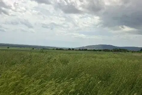 Plot in Dobrich, Rogachevo