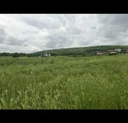 Снимка 2 — Парцел в Добрич, с. Рогачево