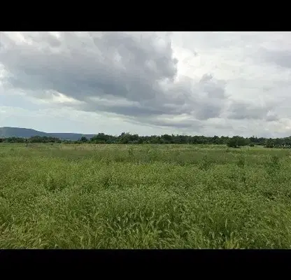 Снимка 3 — Парцел в Добрич, с. Рогачево