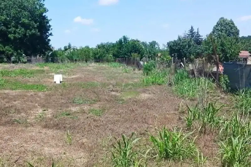 Plot in Ruse, Ryahovo