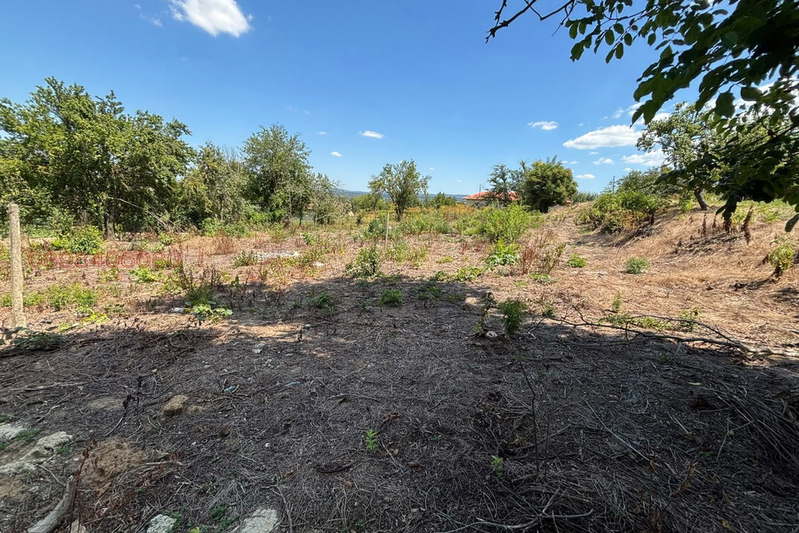 Plot in Oblast Shumen, Salmanovo