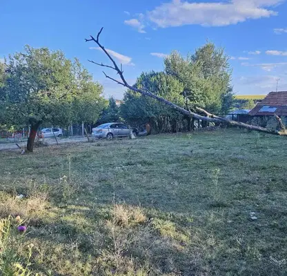 Photo 4 — Plot in Oblast Pernik, Selishten Dol