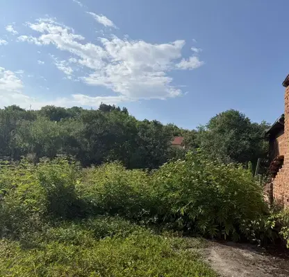 Photo 2 — Plot in Kyustendil, Shishkovci
