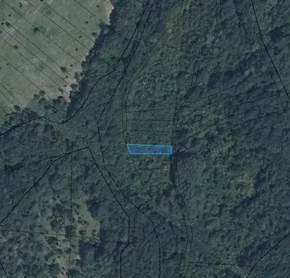 Photo 3 — Plot in Oblast Lovech, Skandaloto