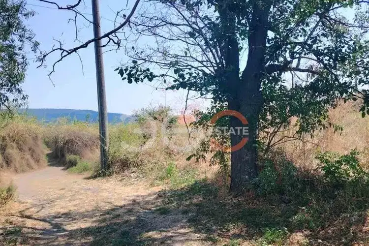 Plot in Oblast Varna, Slynchevo