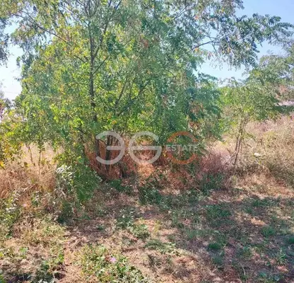 Photo 5 — Plot in Oblast Varna, Slynchevo