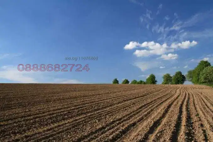 Plot in Oblast Pernik, Stefanovo