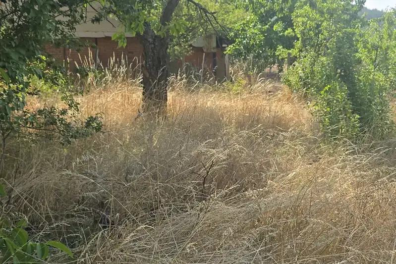 Plot in Oblast Pernik, Stefanovo