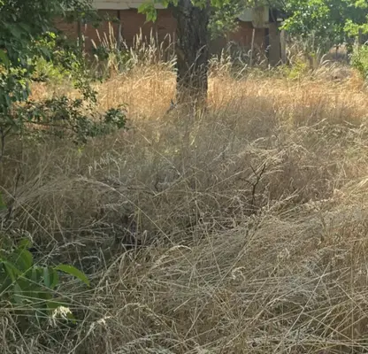 Photo 4 — Plot in Pernik, Stefanovo