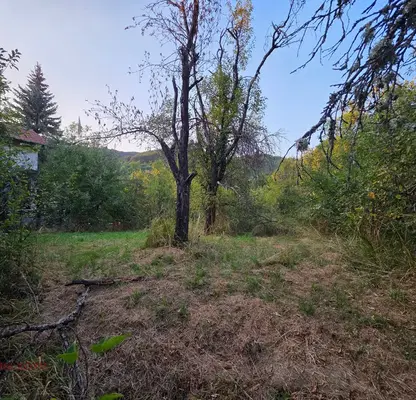 Снимка 4 — Парцел в Ловеч, с. Терзийско