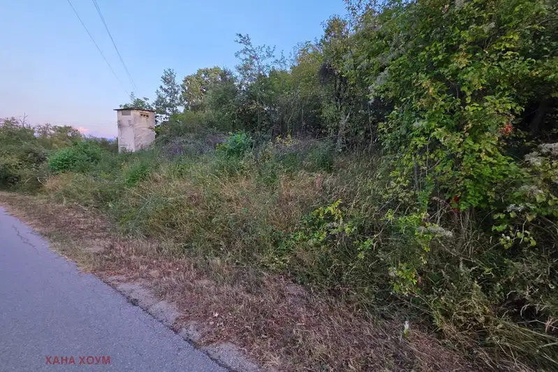 Plot in Lovech, Terziisko