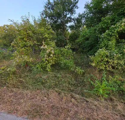 Photo 2 — Plot in Lovech, Terziisko