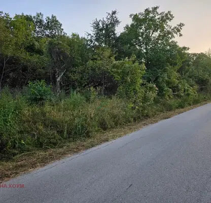 Photo 4 — Plot in Lovech, Terziisko