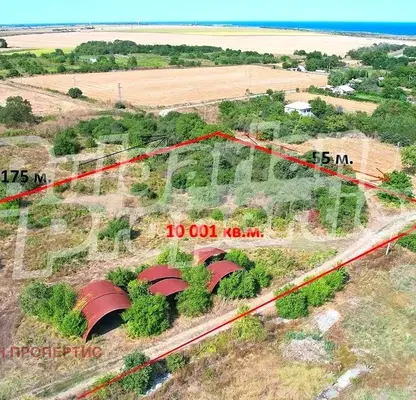 Photo 3 — Plot in Dobrich, Tyulenovo