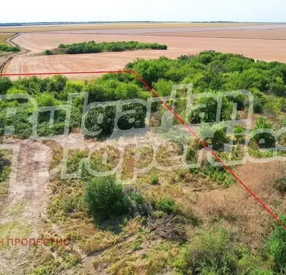 Photo 4 — Plot in Dobrich, Tyulenovo