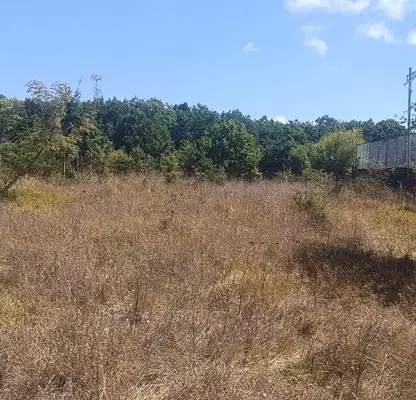 Photo 5 — Plot in Burgas, Velika
