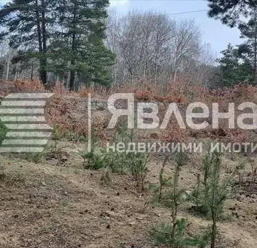 Снимка 5 — Парцел в с. Владая