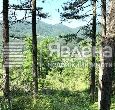 Снимка 2 — Парцел в София, с. Владо Тричков