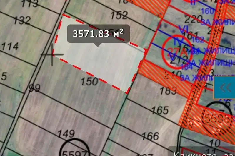 Plot in Voinegovci