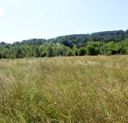 Photo 4 — Plot in Gabrovo, Vranilovci