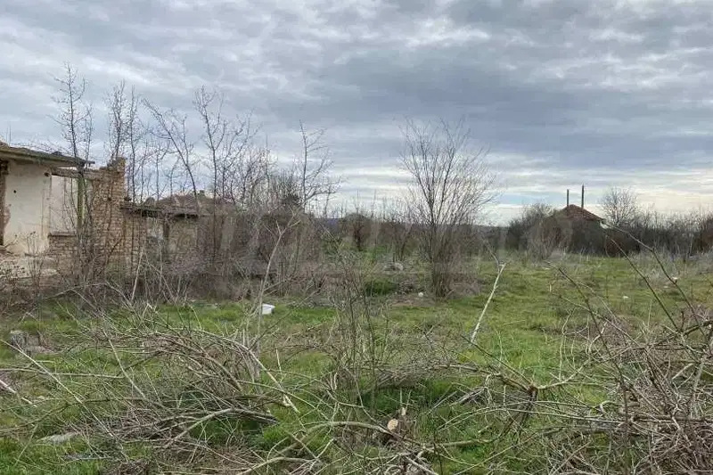 Plot in Pleven, Vybel