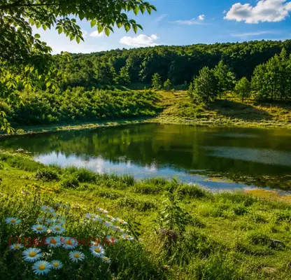 Снимка 5 — Парцел във Варна, с. Юнец