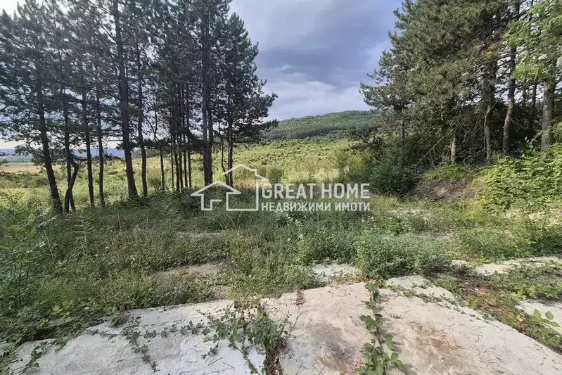 Plot in Tyrgovishte, Zdravec