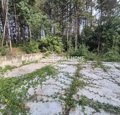 Photo 2 — Plot in Tyrgovishte, Zdravec