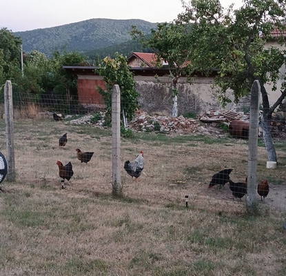 Снимка 5 — Парцел в Стара Загора, с. Змейово