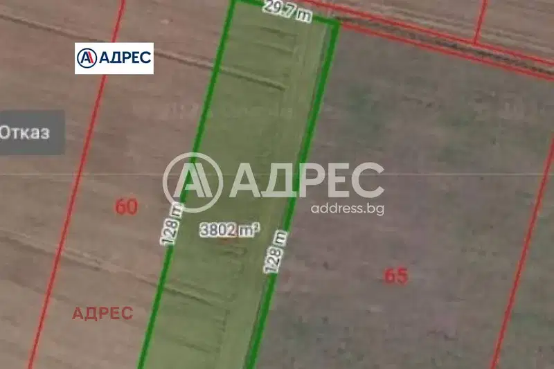 Plot in Zvezdica