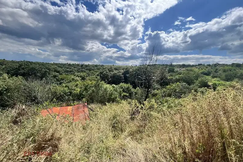 Plot in Zvezdica