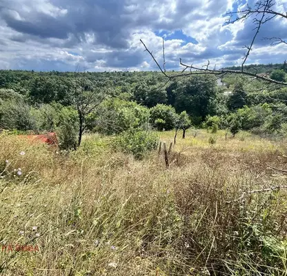 Photo 2 — Plot in Zvezdica