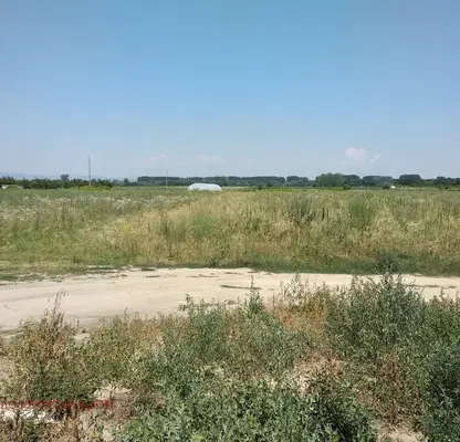 Снимка 5 — Парцел в Пазарджик, с. Звъничево