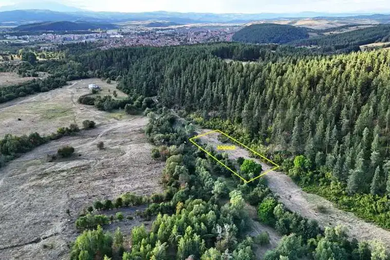 Парцел в София, Самоков