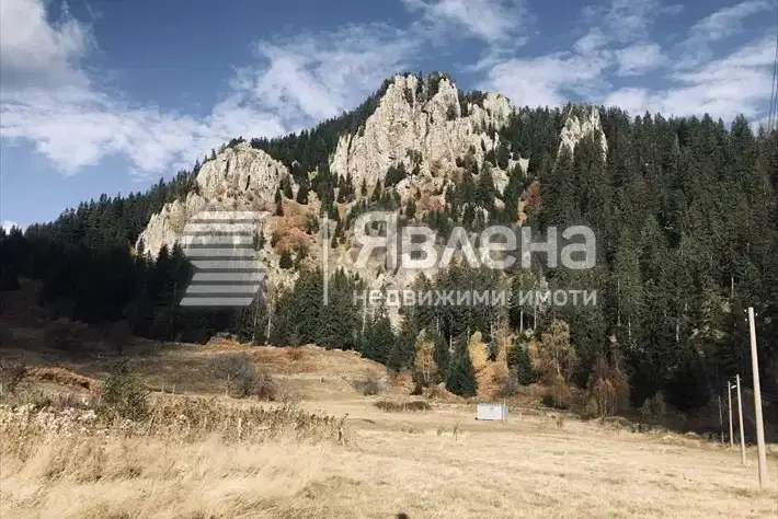 Plot in Smolyan, Smolyan