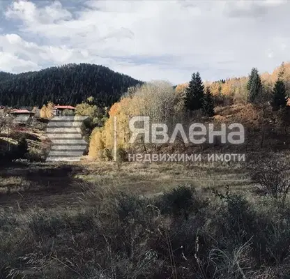Photo 3 — Plot in Smolyan, Smolyan